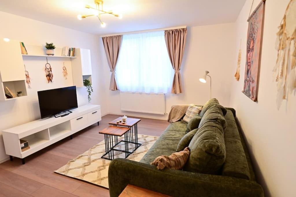 Flh - Neppendorf Loft Sibiu